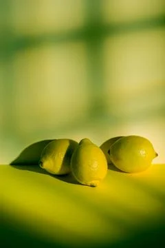 Fresh cedars fruit Stock Photos