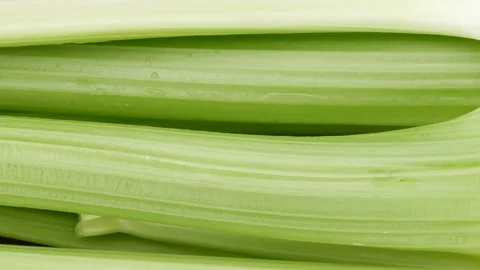 Fresh celery, close-up. Celery stalk. Stock Footage 143194732