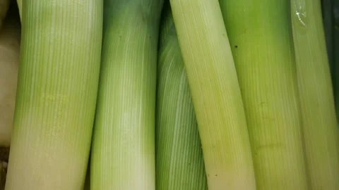 Fresh celery close-up. Fresh vegetables 스톡 동영상 270975512