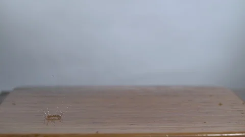 Fresh Celery falling on chopping board in slow motion Stock Footage 100007892