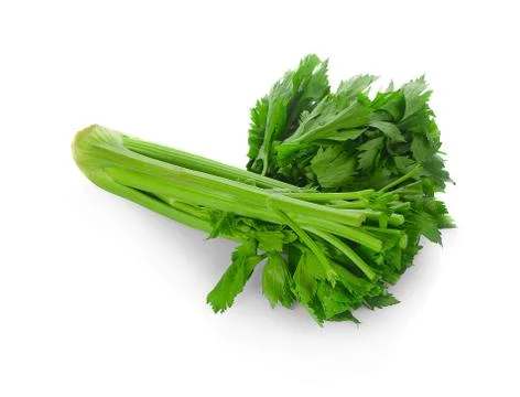 Fresh celery isolated on a white background Stock Photos