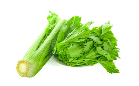Fresh celery an isolated on white background Stock Photos