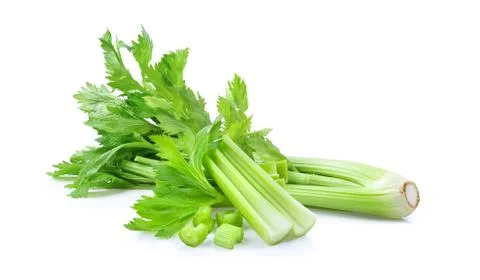 Fresh celery isolated on white background Stock Photos