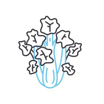 Fresh celery line icon, outline symbol, vector illustration, concept sign Stock Illustration