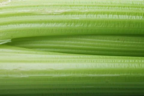 Fresh celery Stock Photos