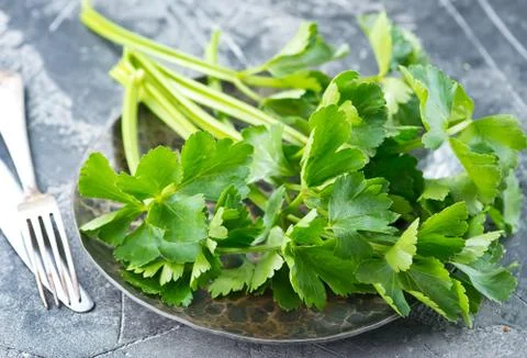 Fresh celery Stock Photos