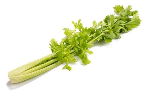 Fresh celery Stock Photos