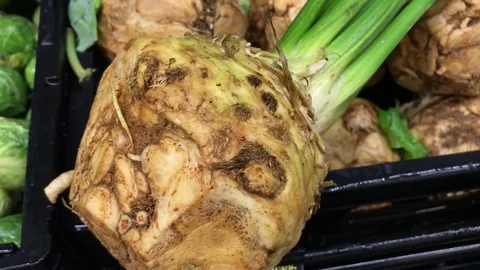 Fresh Celery Root Stock Footage 80440407