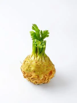 Fresh celery root with green leafy top Stock Photos