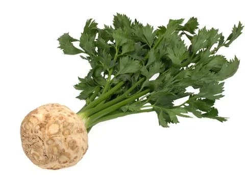 Fresh celery root with leaf isolated on white background Stock Photos