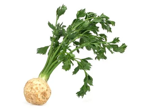 Fresh celery root with leaf isolated on white background Stock Photos