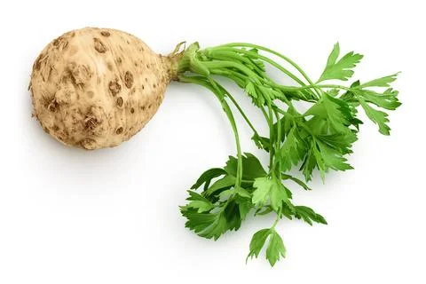 Fresh celery root with leaf isolated on white background. Top view. Flat lay Stock Photos