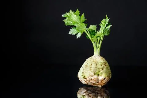 Fresh celery root shot with greens on a black background. Stock Photos