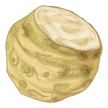 Fresh celery root showing cross section with white background Illustrazione stock