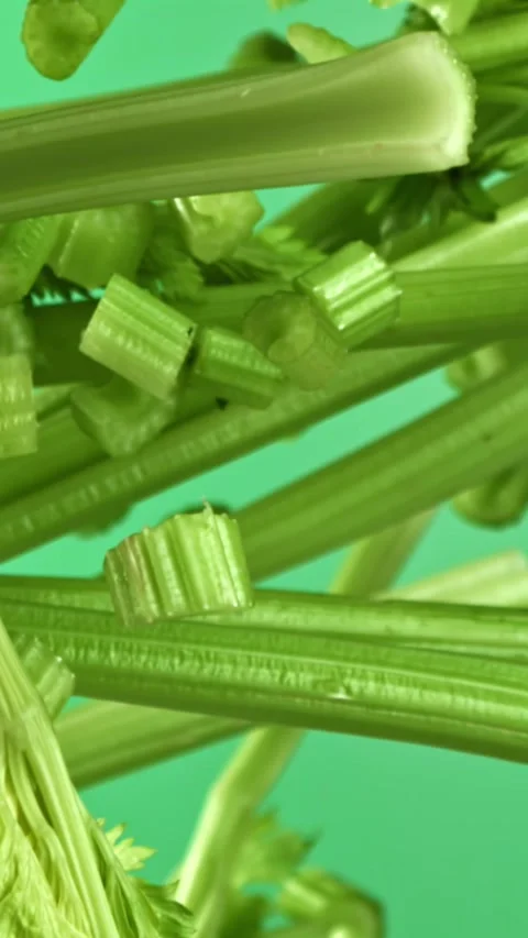 Fresh celery soars up against a light background. Filmed on a high-speed camera Stock Footage 335366215