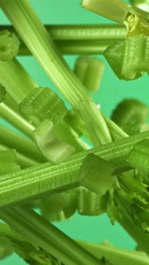 Fresh celery soars up against a light background. Filmed on a high-speed camera Stock Footage 335367867