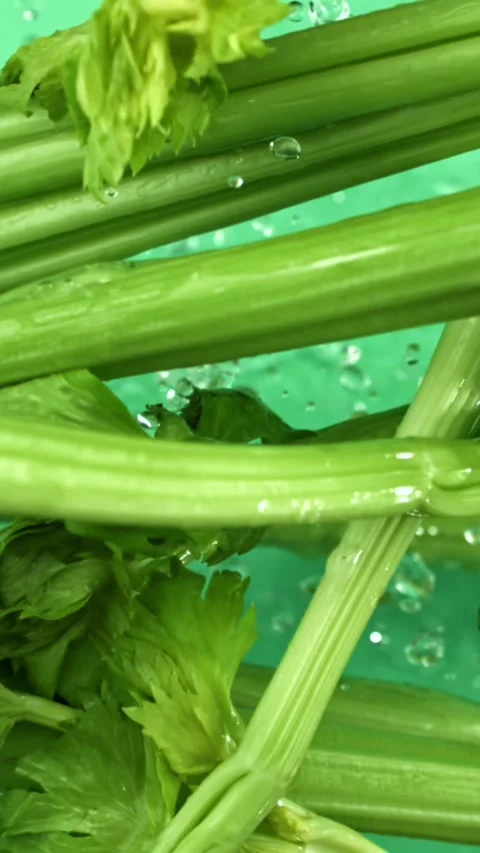 Fresh celery soars up against a light background. Filmed on a high-speed camera Stock Footage 335382412