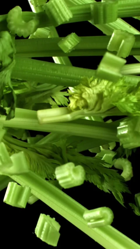 Fresh celery soars up on a black background. Filmed on a high-speed camera at Stock Footage 335368388