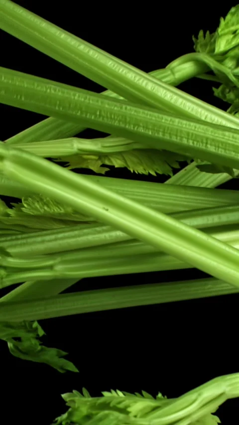Fresh celery soars up on a black background. Filmed on a high-speed camera at Stock Footage 335369645