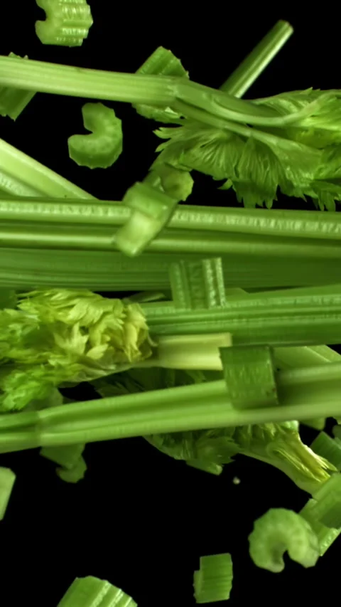 Fresh celery soars up on a black background. Filmed on a high-speed camera at Stock Footage 335371468