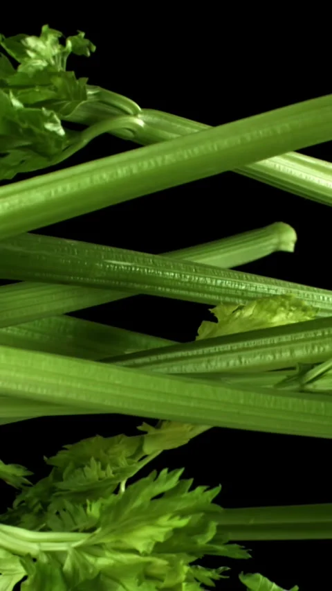 Fresh celery soars up on a black background. Filmed on a high-speed camera at Stock Footage 335374570