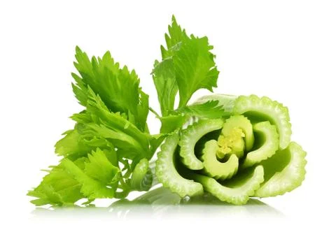 Fresh celery stalks on white background Stock Photos