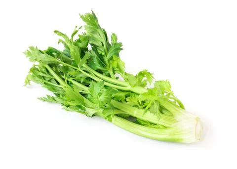Fresh celery vegetable on white background, healthy food concept Stock Photos
