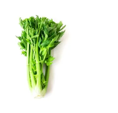 Fresh celery vegetable on white background, healthy food concept Stock Photos