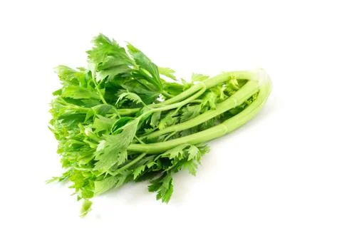 Fresh celery vegetable on white background, healthy food concept Stock Photos