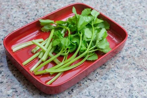 Fresh Celery was a vegetable which put on red plate and served in Shabu Sukiy Stock Photos