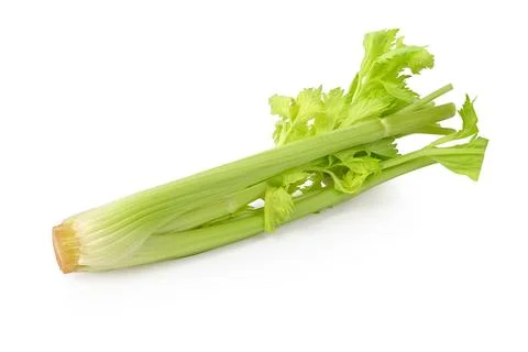 Fresh celery on white background. full depth of field Stock Photos