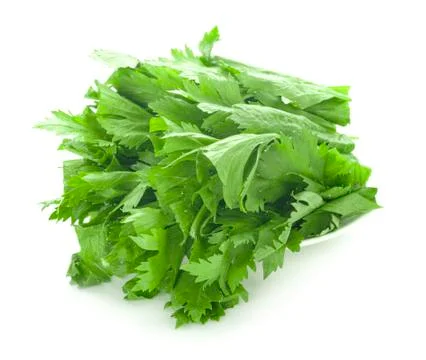 Fresh celery on white background Foto stock