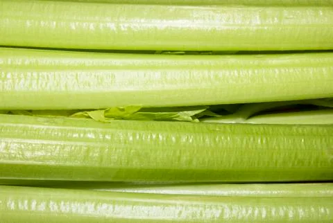 Fresh celery on a white background.Celery background. Stock Photos
