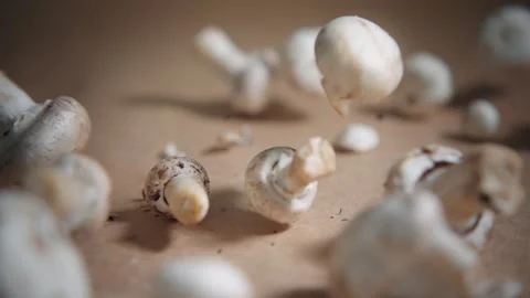 Fresh champignon mushrooms falling on rustic table. Organic vegetables for Stock Footage 303639704