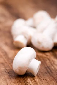 Fresh champignon Stock Photos