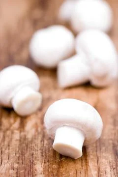Fresh champignon Stock-Fotos