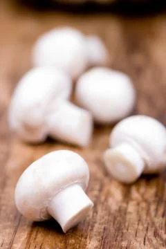 Fresh champignon Stock Photos