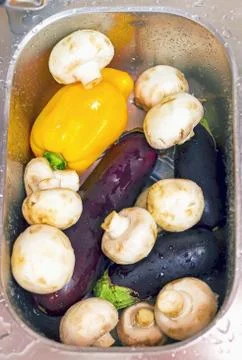 Fresh Champignons, washed vegetables Stock Photos