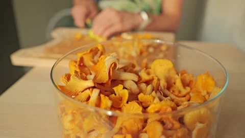 Fresh Chanterelle Mushrooms Prepared In Rustic Latvian Home Kitchen Stock Footage 336325997
