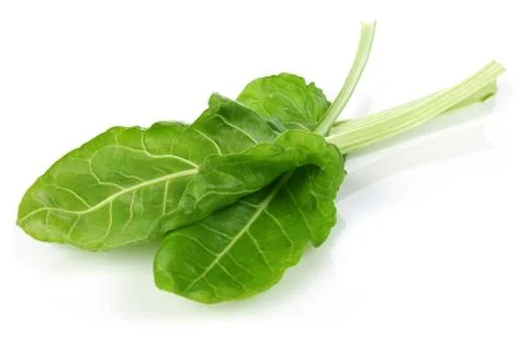 Fresh chard leaves on white background Stock Photos