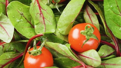 Fresh chard with tomatoes, top view, rotation. Video stock 123368849