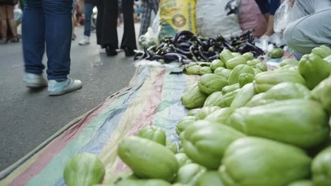 Fresh Chayote and Eggplants on Display at a Roadside Market Stock Footage 341646119