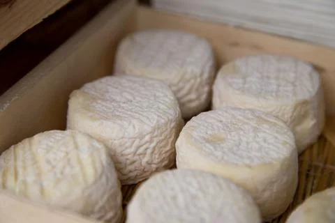 Fresh cheese Stock Photos