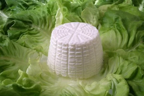 Fresh cheese Stock Photos