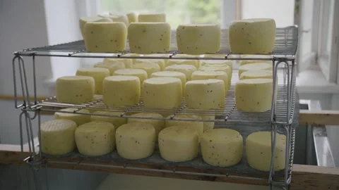 Fresh cheese wheels on drying rack in dairy facility Vídeos de archivo 308148892