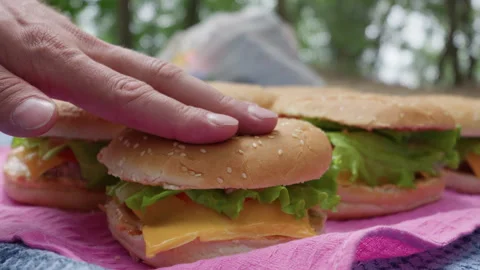Fresh Cheeseburgers with Melted Cheese Set on Picnic Towel Outdoors 库存影片 342000481