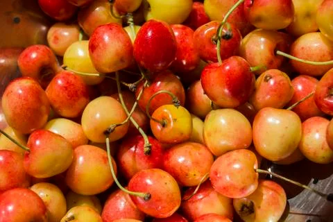 Fresh cherries - background Stock Photos