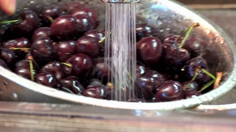 Fresh cherries being washed in a strainer above a sink 動画素材 91723627