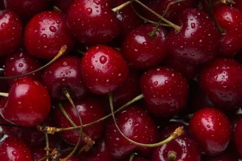 Fresh cherries close-up Stock Photos