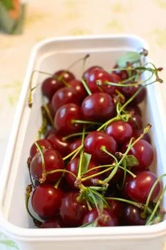 Fresh cherries in a container Fotos de archivo